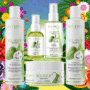 SourSop Hair Care Kit
